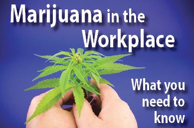 February Luncheon - Marijuana in the Workplace