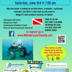 Newport Underwater Cleanup