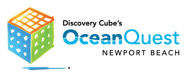 December Marine Committee - Discover Cube's Ocean Quest with CEO Joe Adams