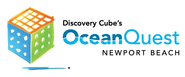 December Marine Committee - Discover Cube's Ocean Quest with CEO Joe Adams