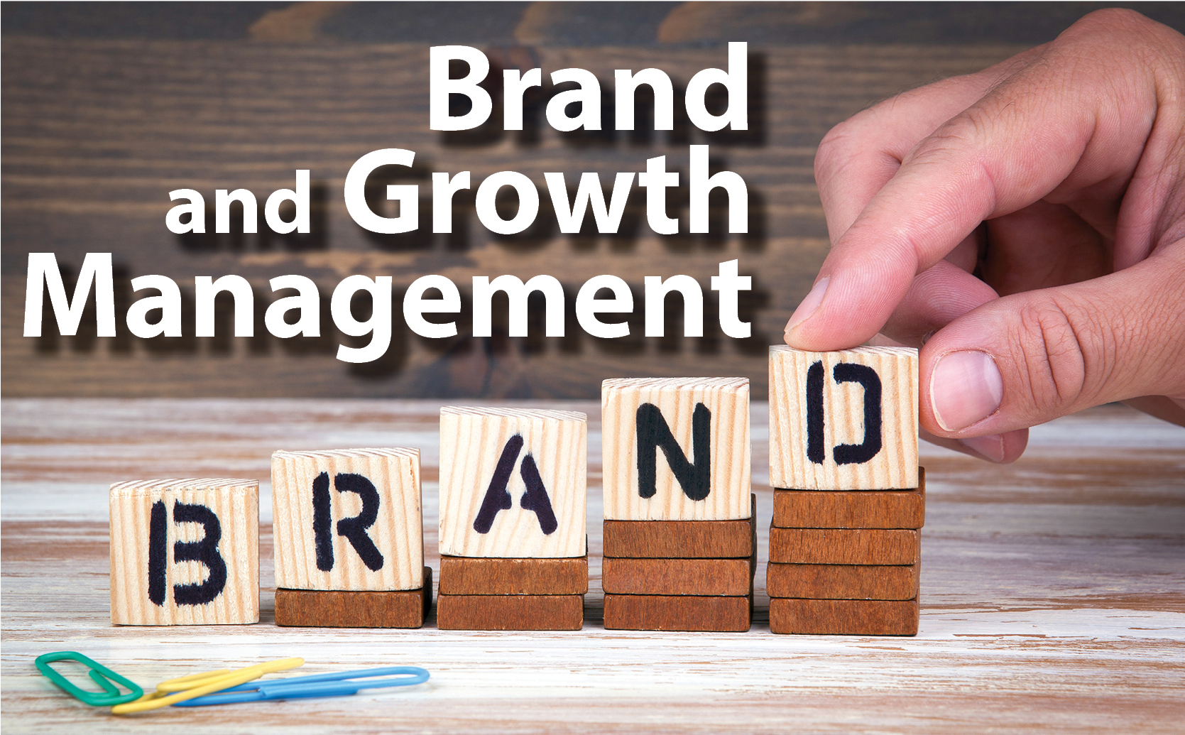 May Business Luncheon: Brand and Growth Management