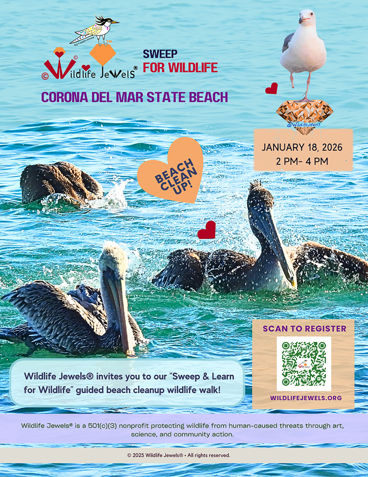 Wildlife Jewels’ New Year Sweep & Learn for Wildlife — Corona del Mar State Beach