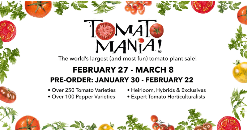 Screenshot 2026-01-28 084659