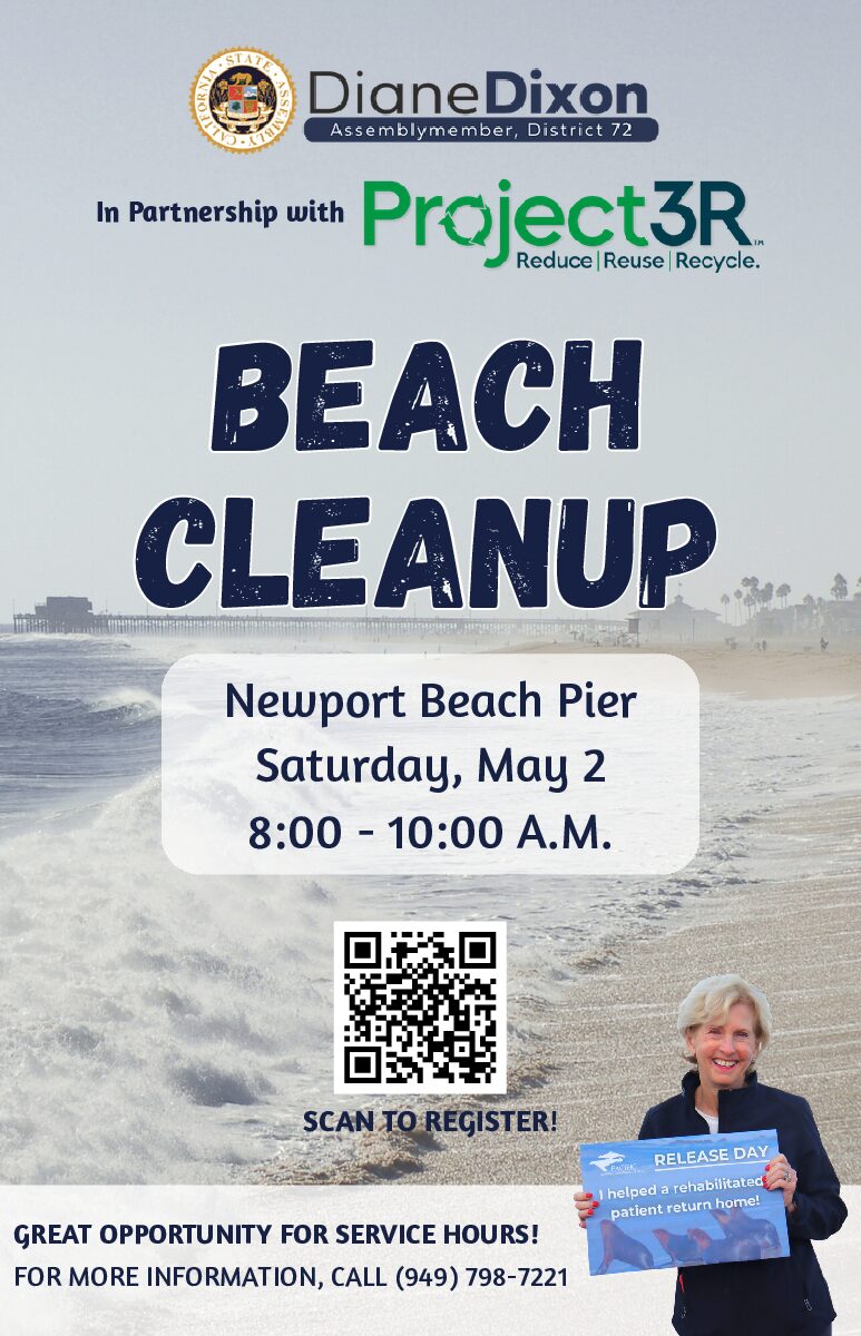 Newport Beach Pier Cleanup