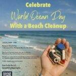 High Seas Beach Clean-Up | World Ocean Day