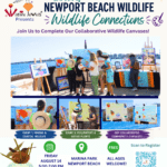 The Art of Newport Beach Wildlife: Wildlife Connections