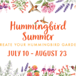 Roger's Gardens' Hummingbird Summer