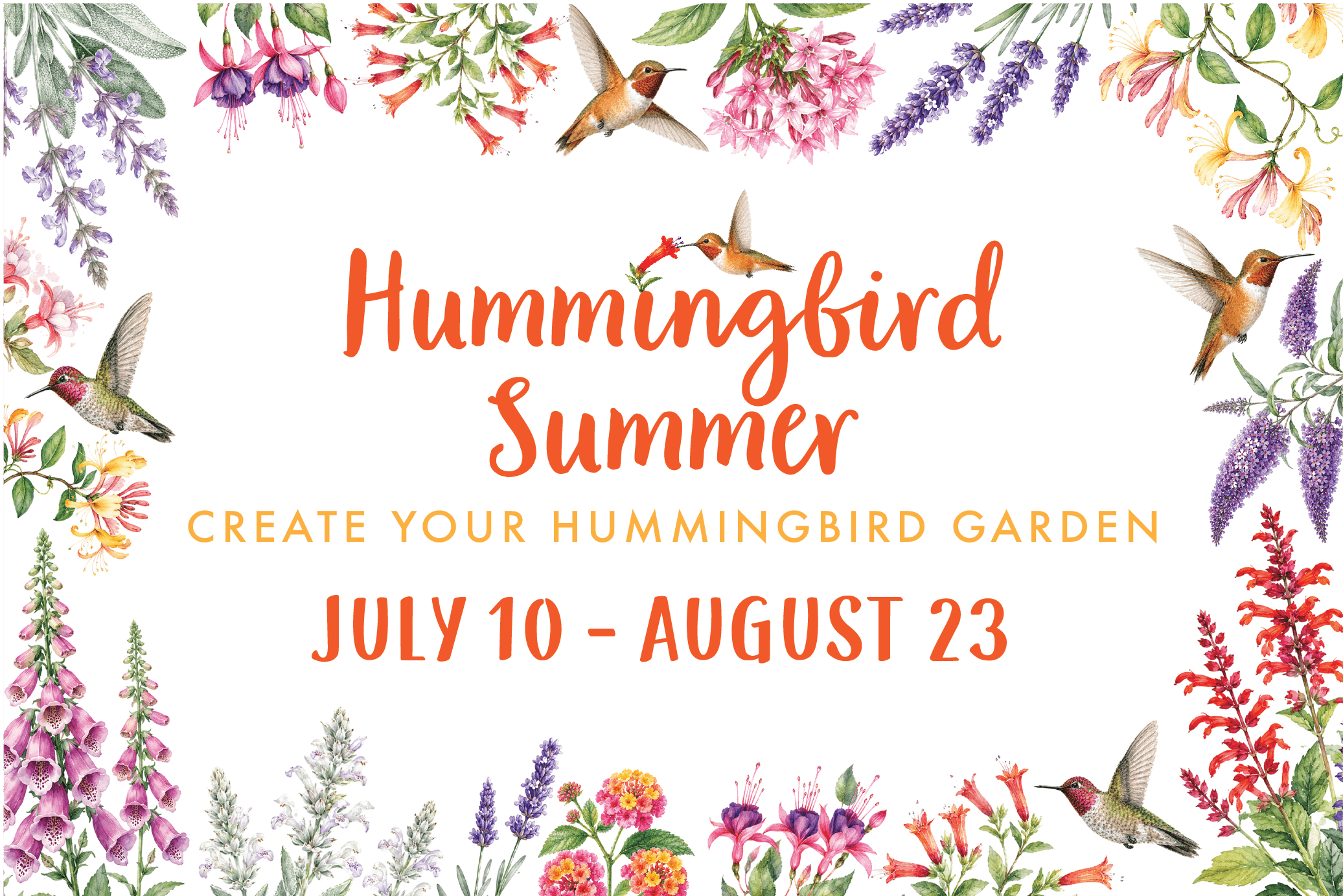humsum feature